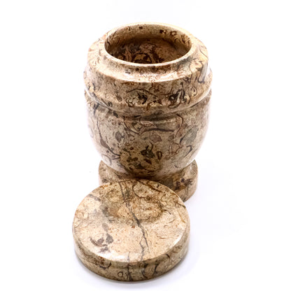 Crinoid Fossil Jasper Stone Cup